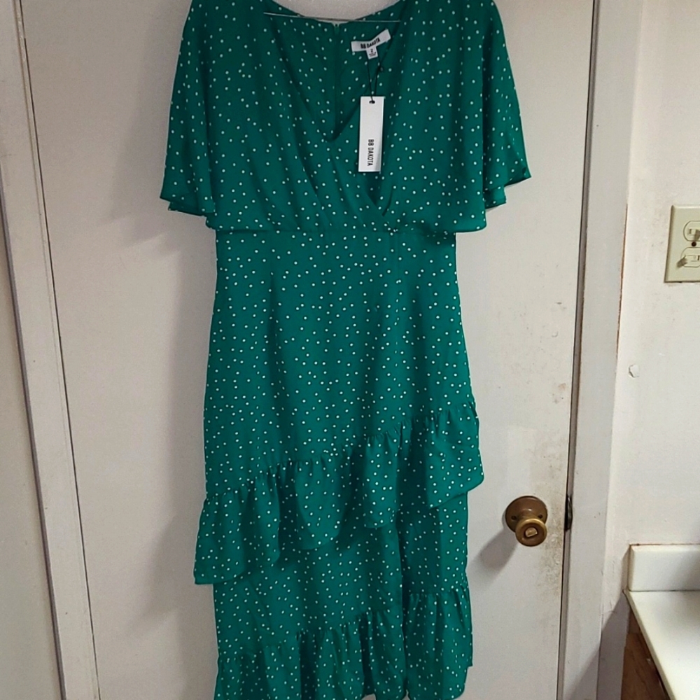 BB Dakota green Polka Dot Dress